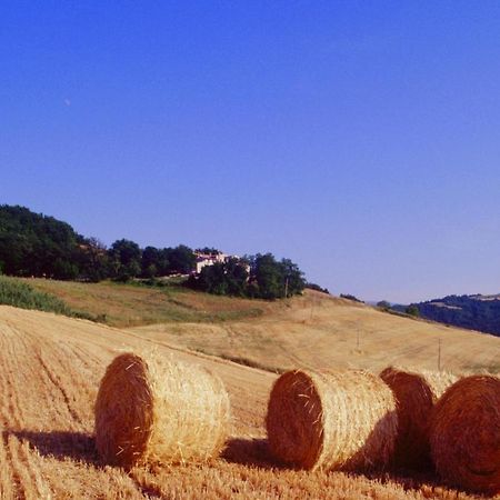 Agriturismo Il Fienile Di Ca Battista Cagli Exterior foto