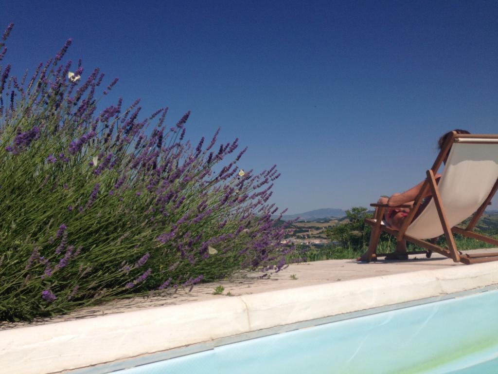 Agriturismo Il Fienile Di Ca Battista Cagli Exterior foto