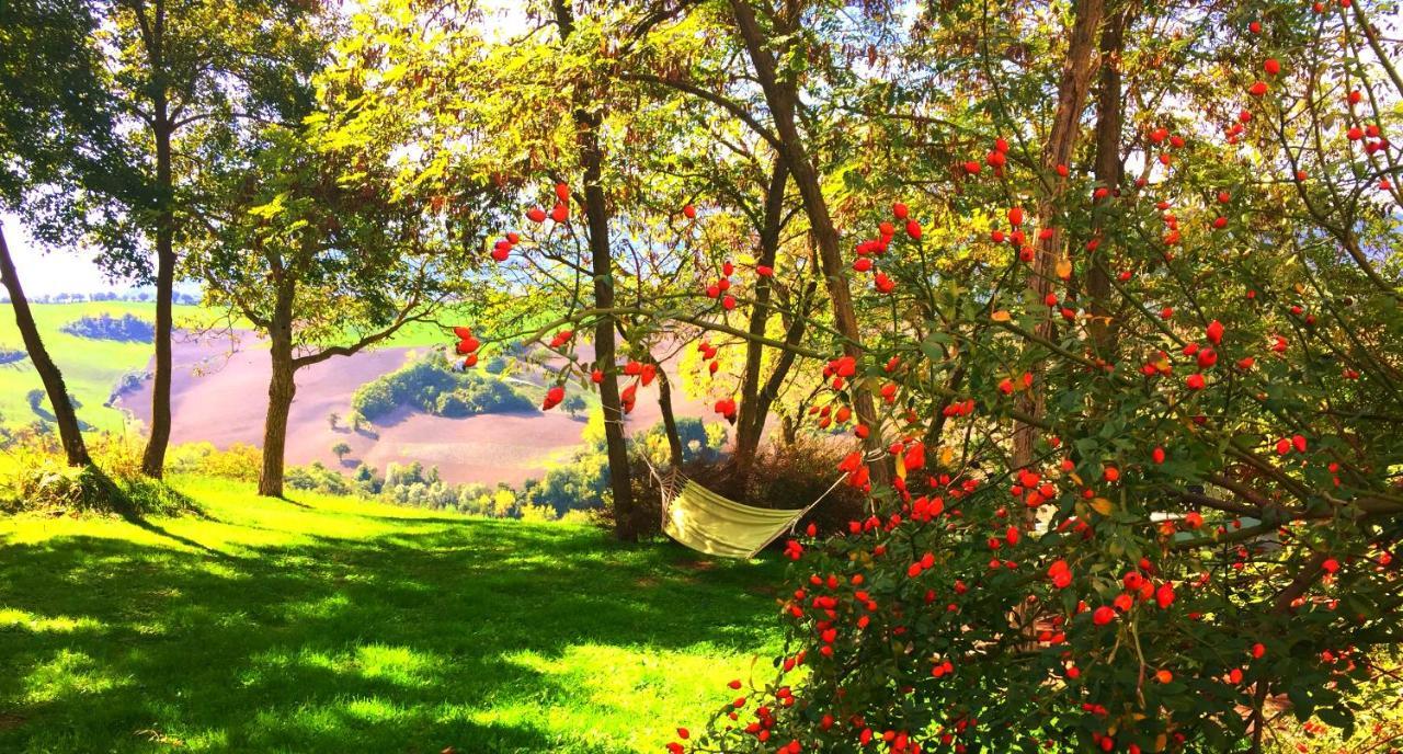 Agriturismo Il Fienile Di Ca Battista Cagli Exterior foto