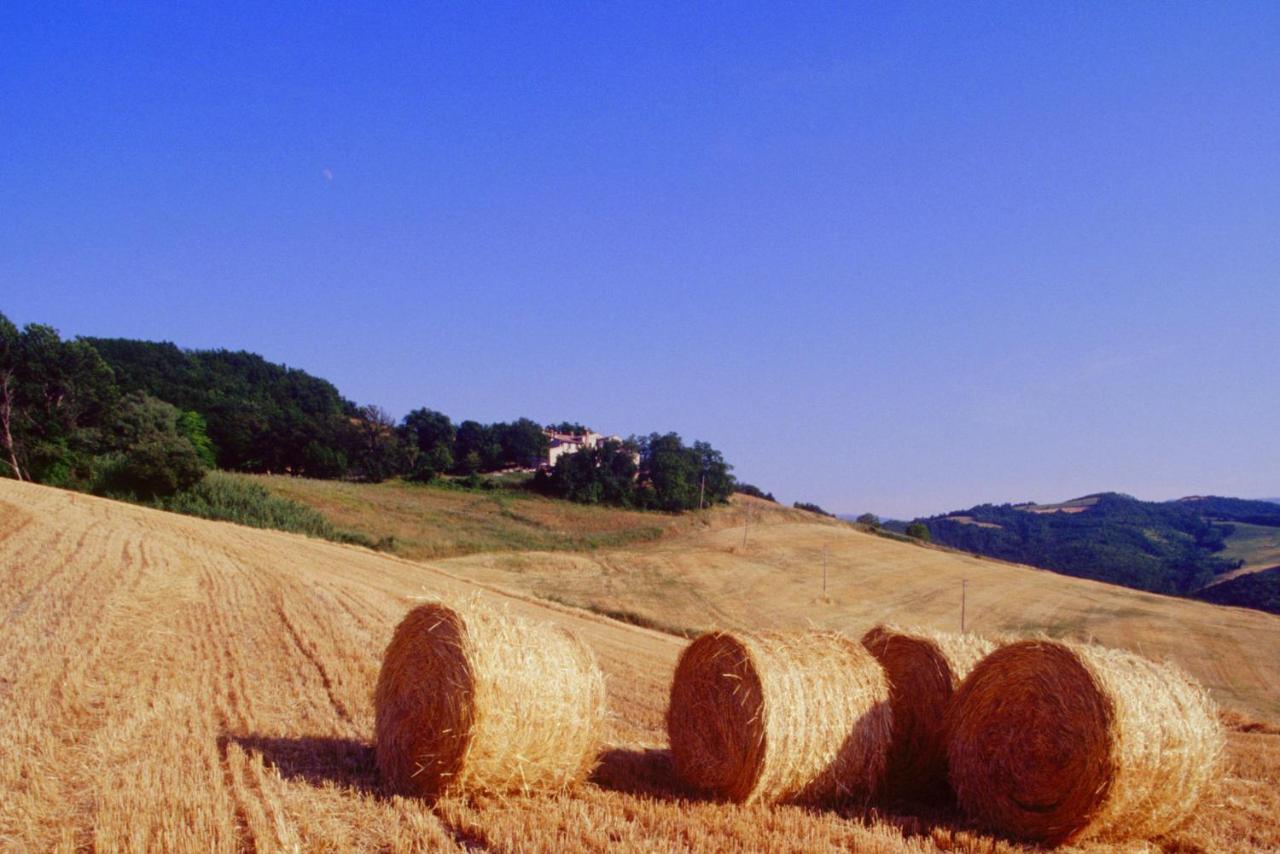 Agriturismo Il Fienile Di Ca Battista Cagli Exterior foto